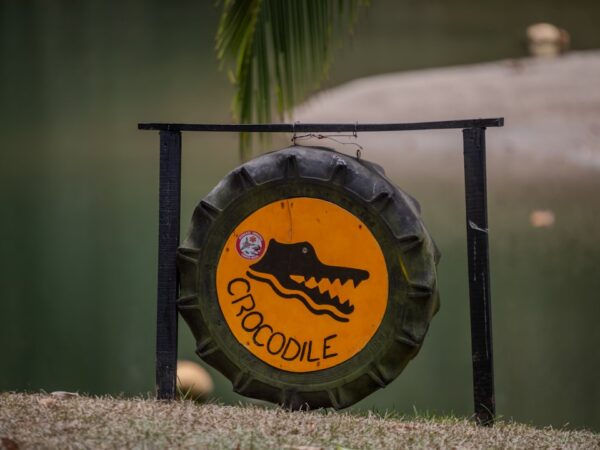 Photo communication security