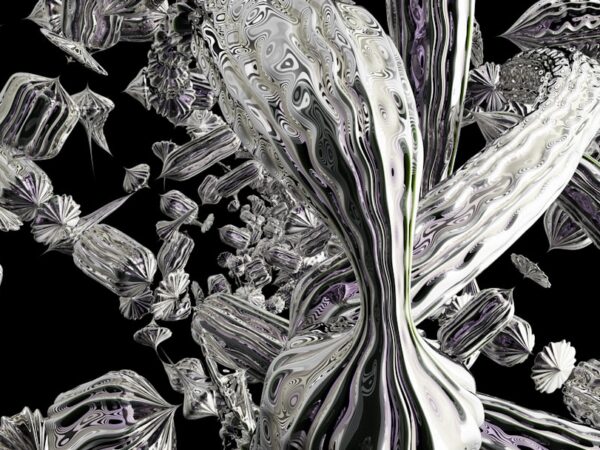 Photo biologically inspired computations