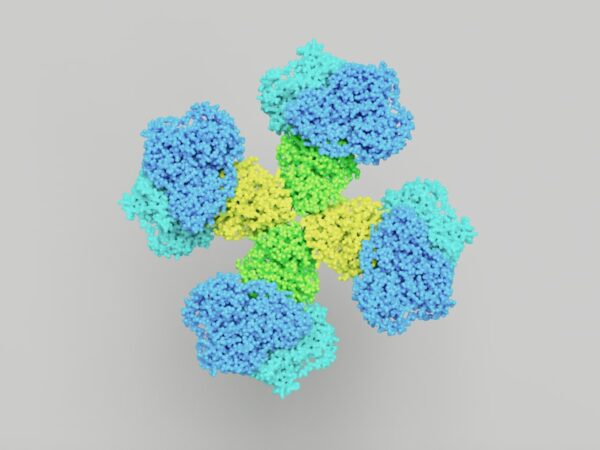 Photo molecular simulations