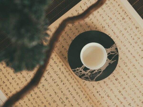 Photo herbal medicine